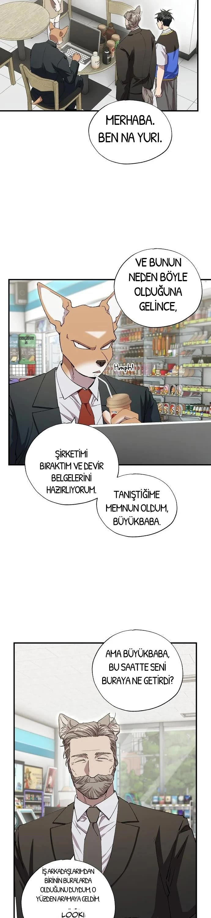 BÜYÜLÜ DİYAR DÜKKÂNCISI, bölüm 89, sayfa 13