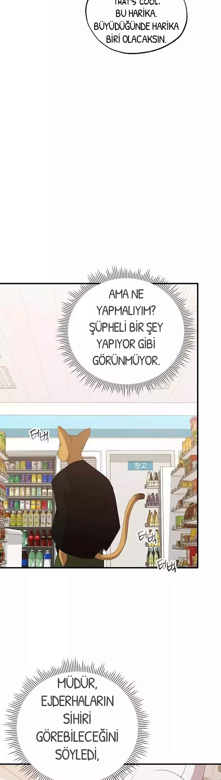 BÜYÜLÜ DİYAR DÜKKÂNCISI, bölüm 21, sayfa 23