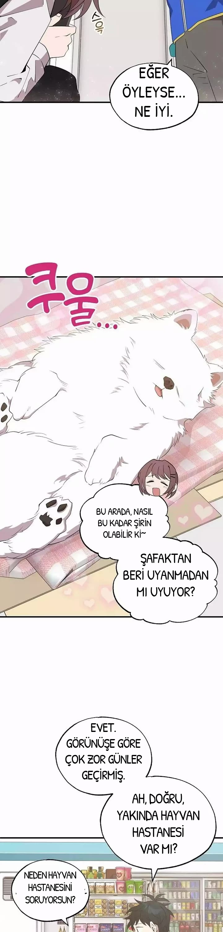 BÜYÜLÜ DİYAR DÜKKÂNCISI, bölüm 42, sayfa 29