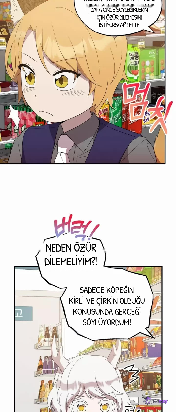 BÜYÜLÜ DİYAR DÜKKÂNCISI, bölüm 48, sayfa 12