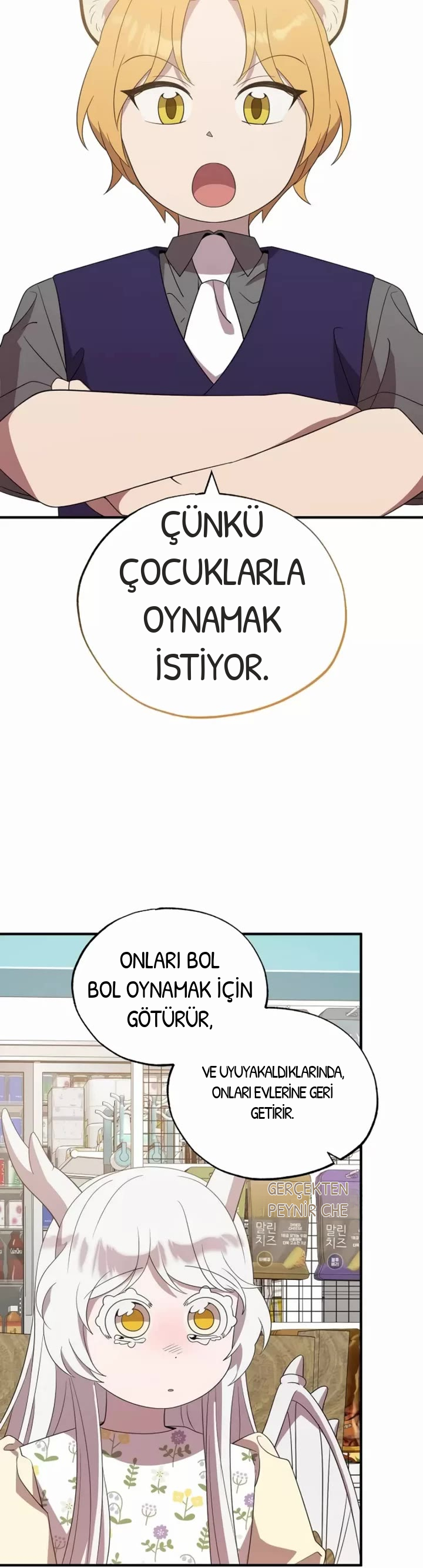 BÜYÜLÜ DİYAR DÜKKÂNCISI, bölüm 48, sayfa 31