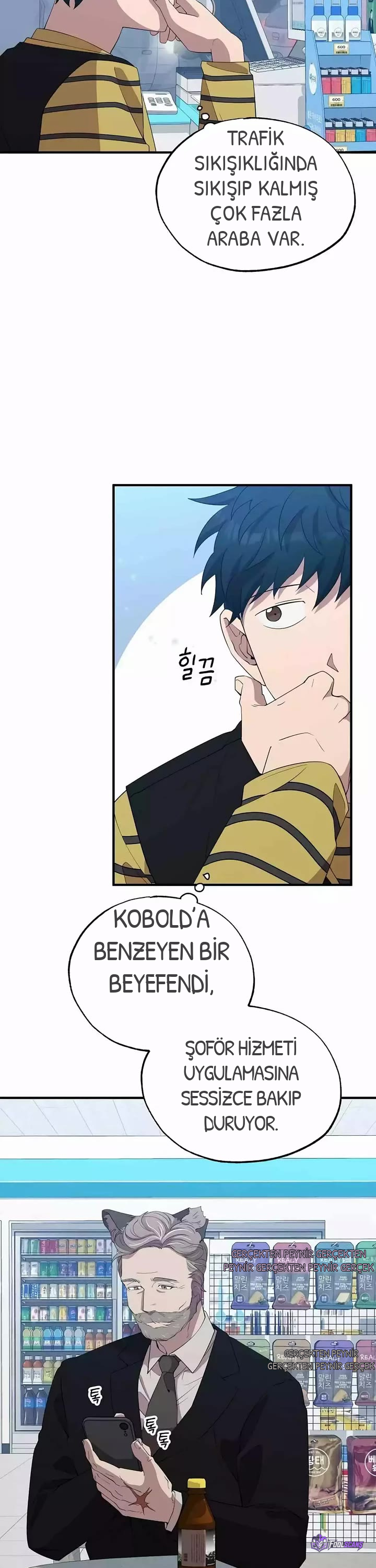 BÜYÜLÜ DİYAR DÜKKÂNCISI, bölüm 13, sayfa 2