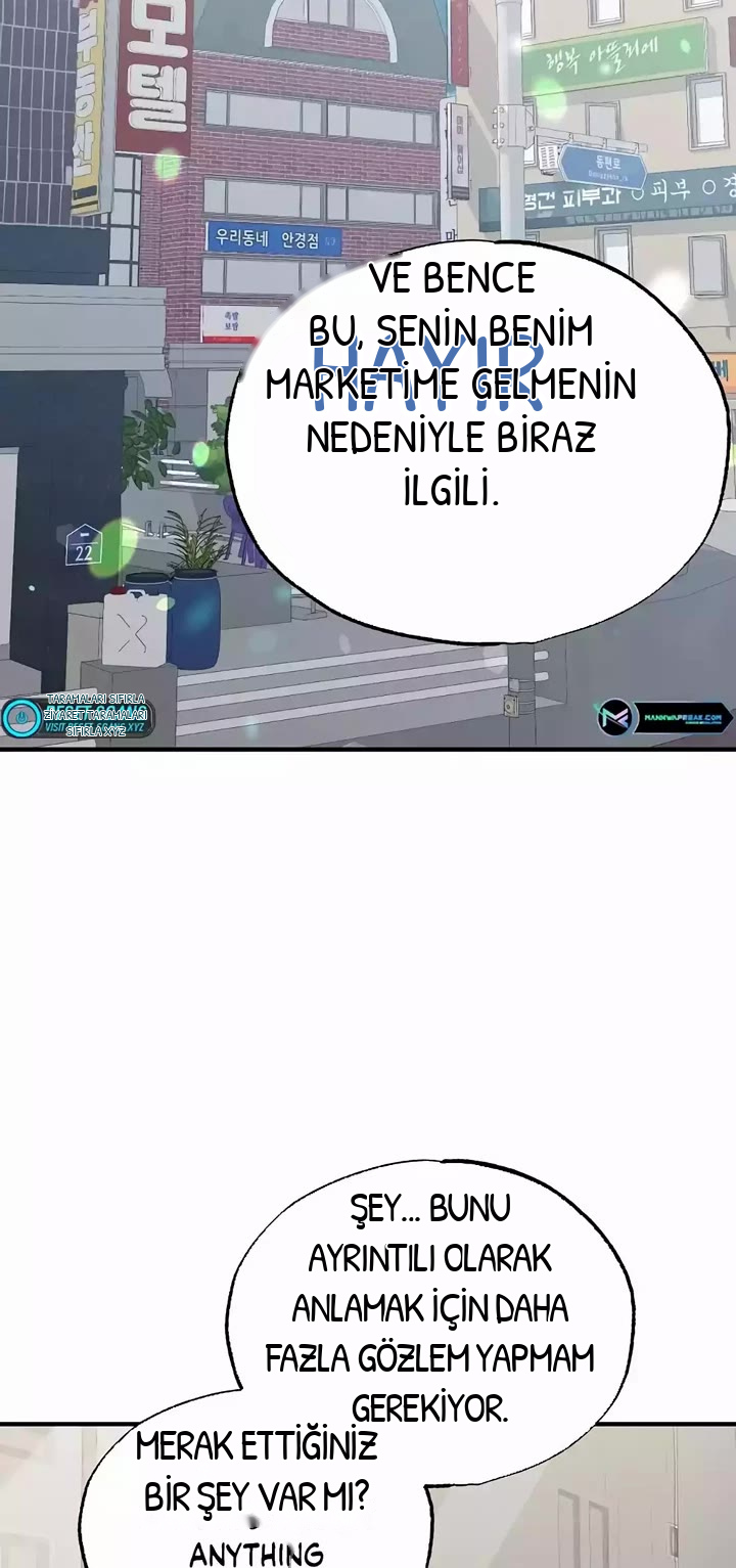BÜYÜLÜ DİYAR DÜKKÂNCISI, bölüm 8, sayfa 33