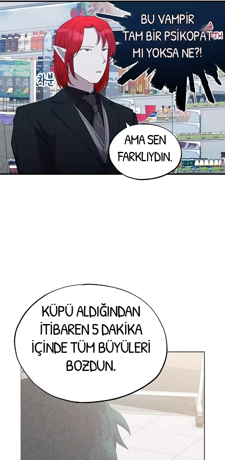 BÜYÜLÜ DİYAR DÜKKÂNCISI, bölüm 44, sayfa 9