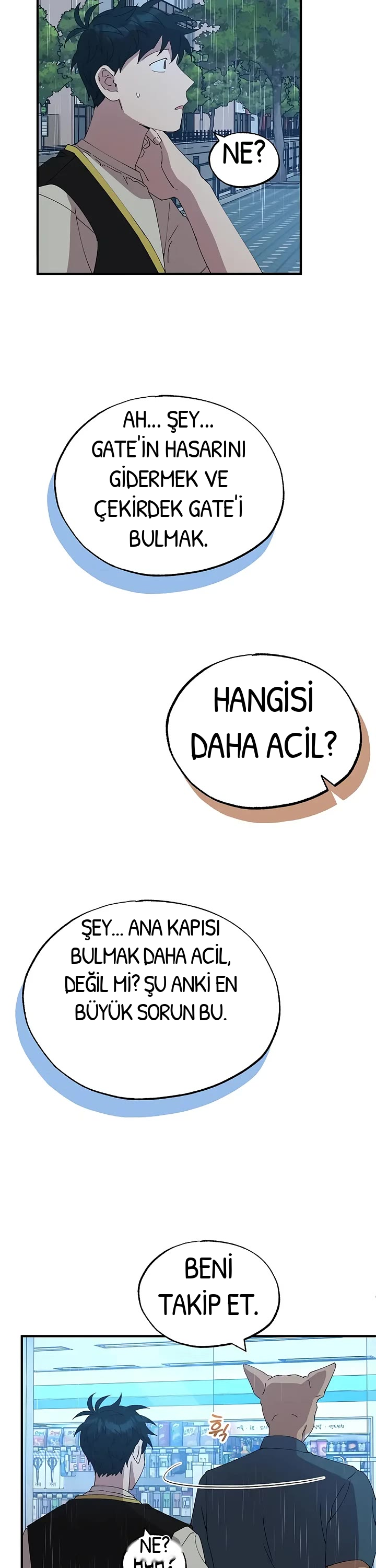 BÜYÜLÜ DİYAR DÜKKÂNCISI, bölüm 67, sayfa 11