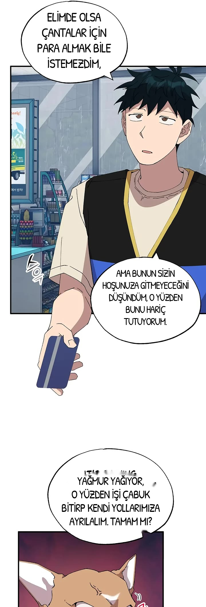 BÜYÜLÜ DİYAR DÜKKÂNCISI, bölüm 67, sayfa 29
