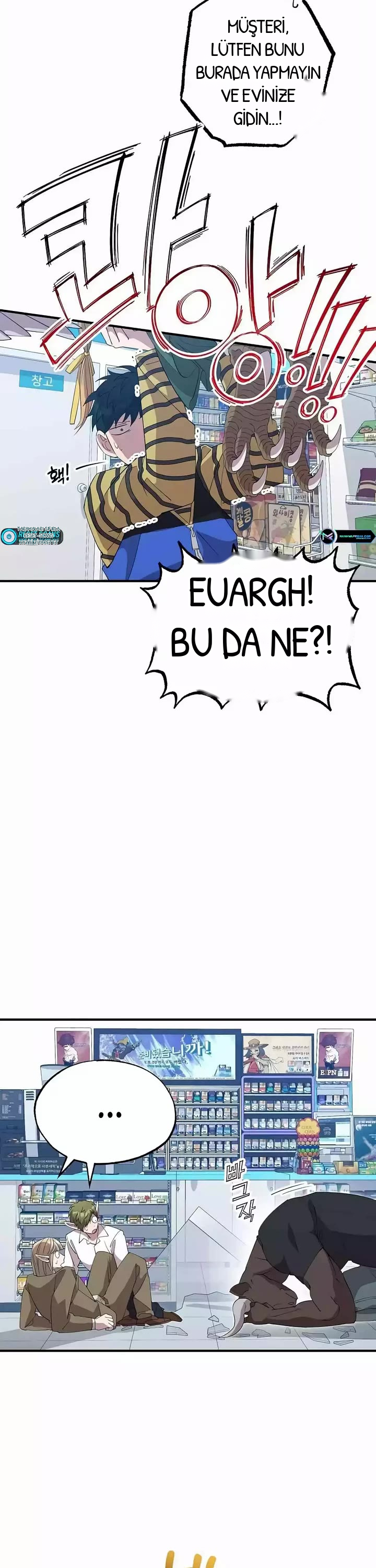 BÜYÜLÜ DİYAR DÜKKÂNCISI, bölüm 12, sayfa 17