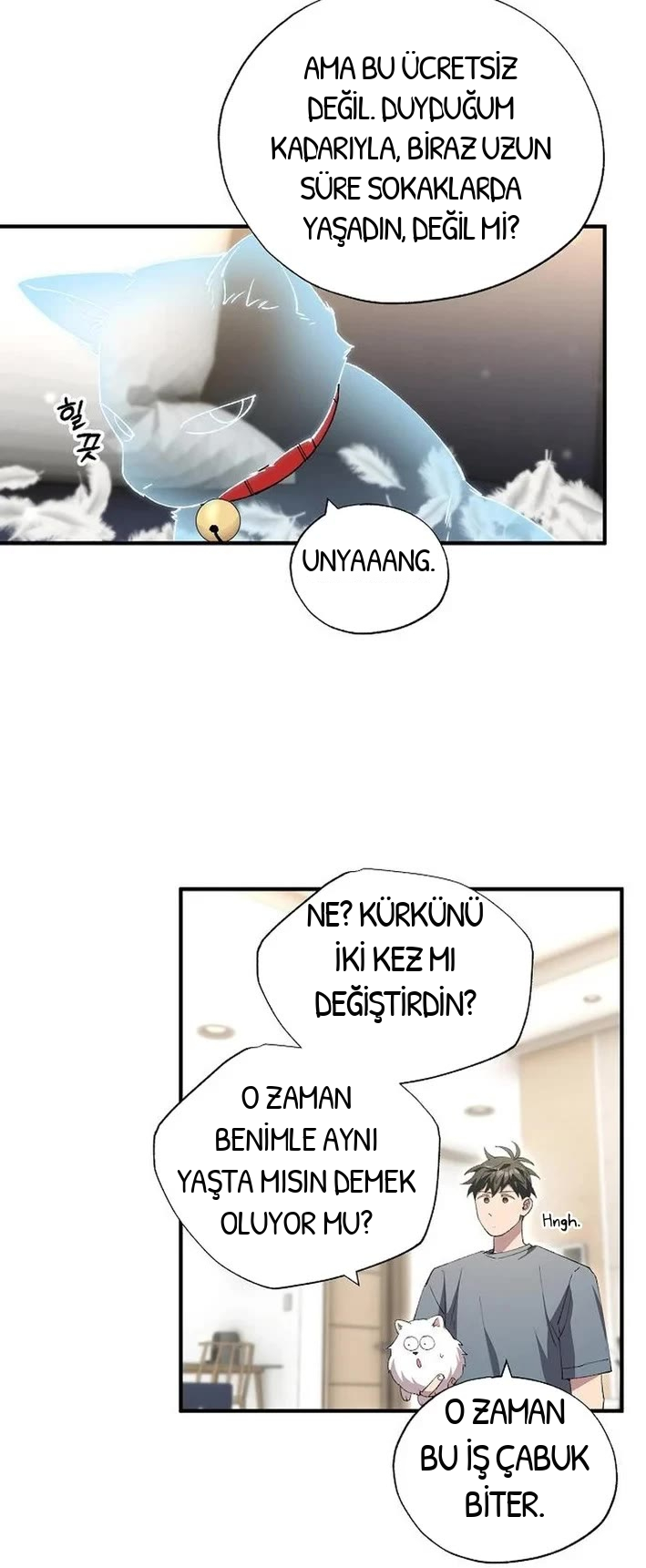 BÜYÜLÜ DİYAR DÜKKÂNCISI, bölüm 86, sayfa 29