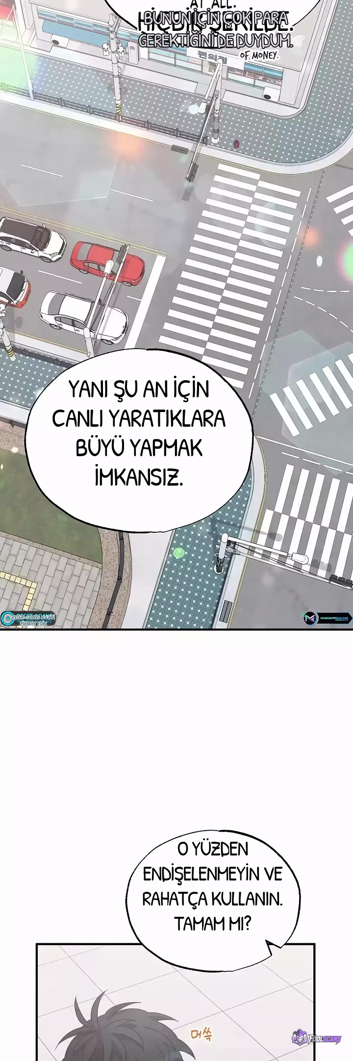 BÜYÜLÜ DİYAR DÜKKÂNCISI, bölüm 17, sayfa 20
