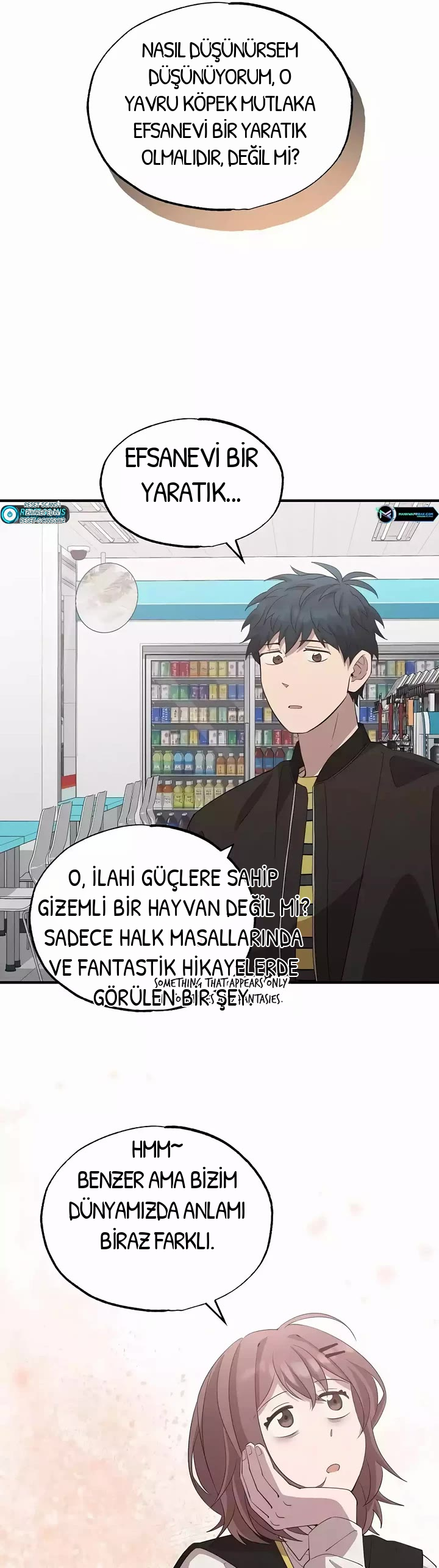 BÜYÜLÜ DİYAR DÜKKÂNCISI, bölüm 17, sayfa 27
