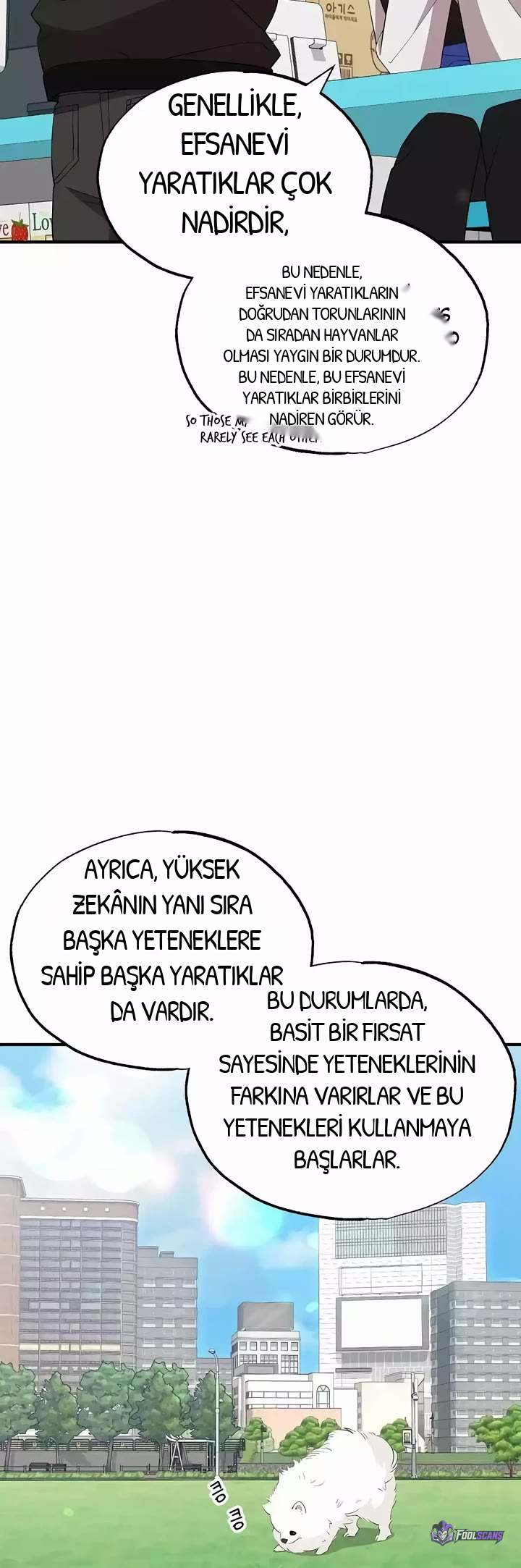 BÜYÜLÜ DİYAR DÜKKÂNCISI, bölüm 17, sayfa 30