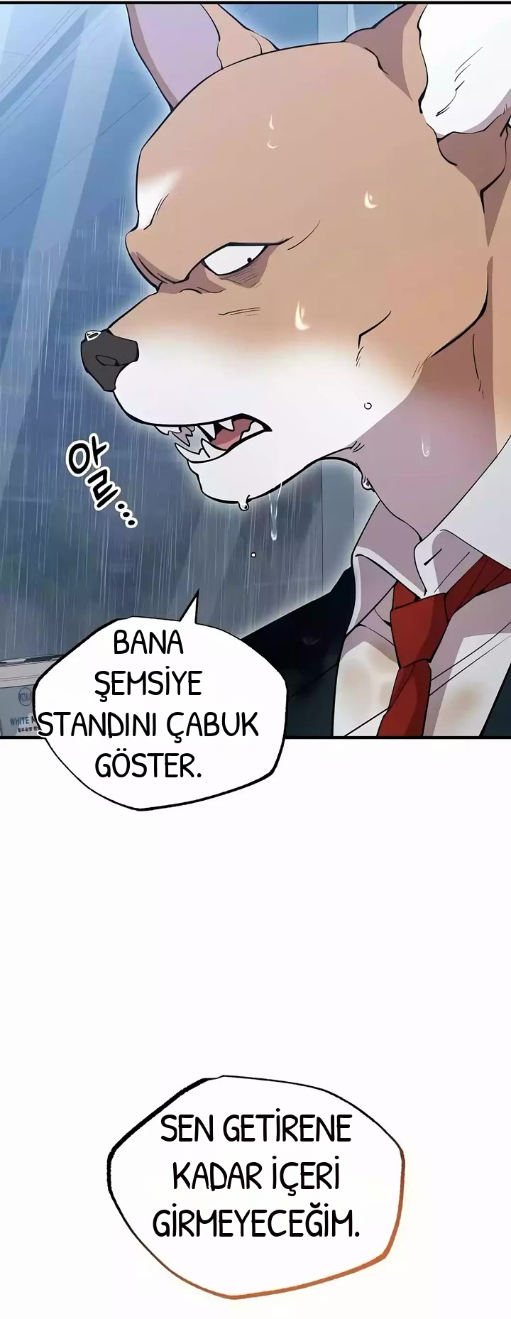 BÜYÜLÜ DİYAR DÜKKÂNCISI, bölüm 17, sayfa 39