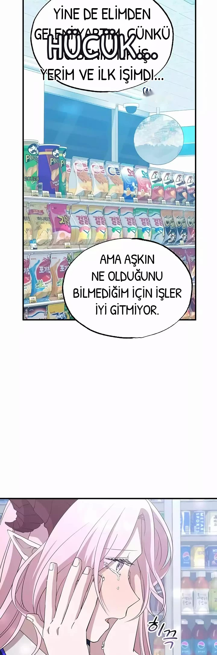 BÜYÜLÜ DİYAR DÜKKÂNCISI, bölüm 10, sayfa 33