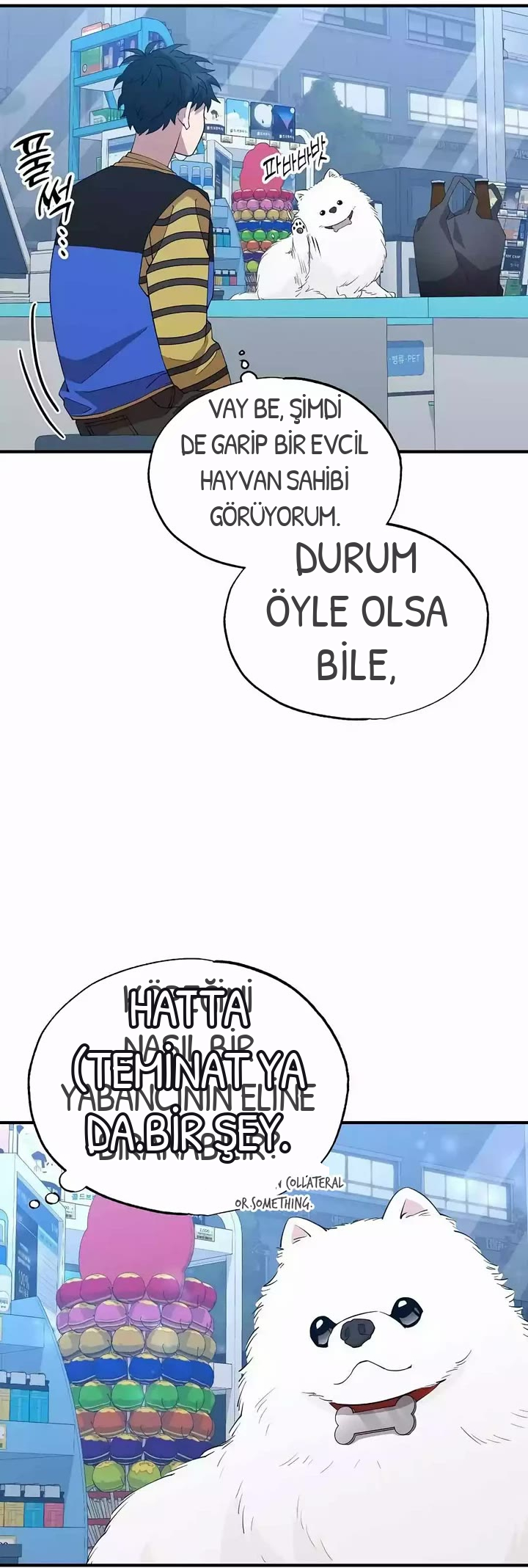 BÜYÜLÜ DİYAR DÜKKÂNCISI, bölüm 14, sayfa 13