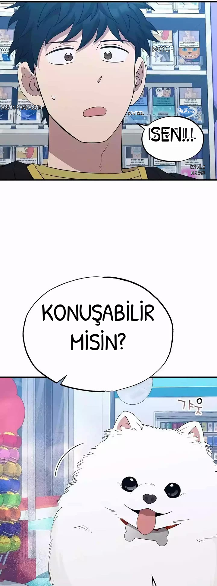 BÜYÜLÜ DİYAR DÜKKÂNCISI, bölüm 14, sayfa 19