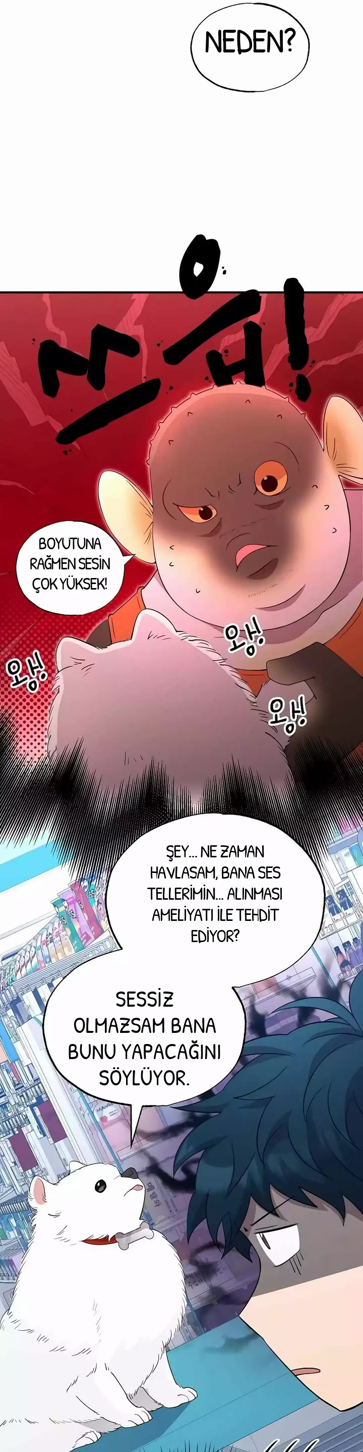 BÜYÜLÜ DİYAR DÜKKÂNCISI, bölüm 14, sayfa 21