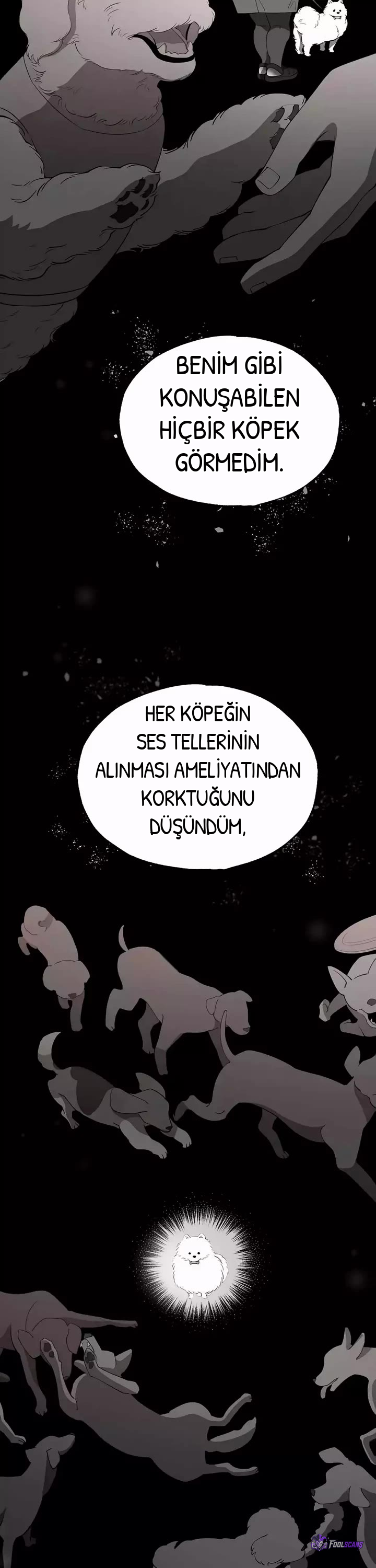 BÜYÜLÜ DİYAR DÜKKÂNCISI, bölüm 14, sayfa 26