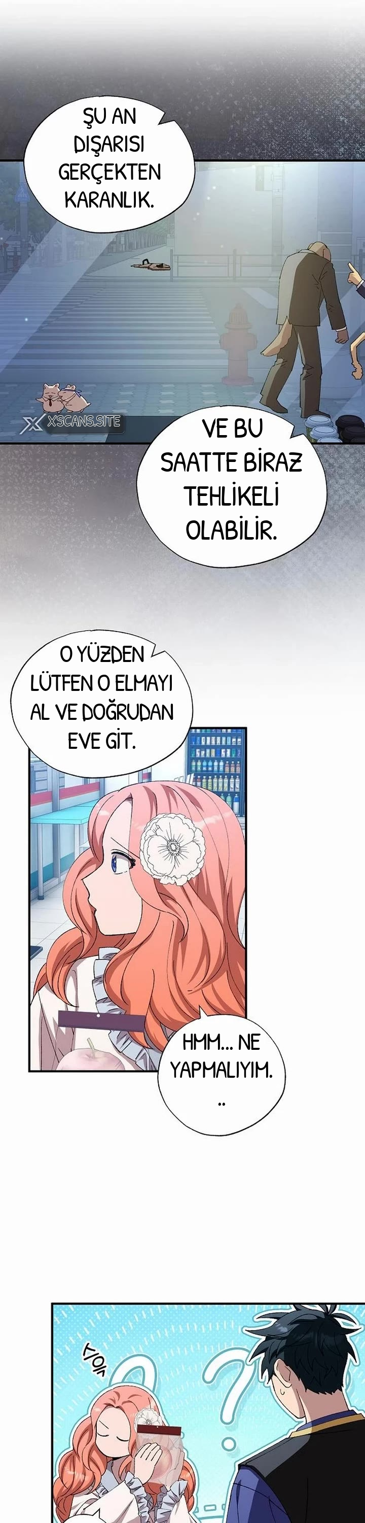 BÜYÜLÜ DİYAR DÜKKÂNCISI, bölüm 102, sayfa 13