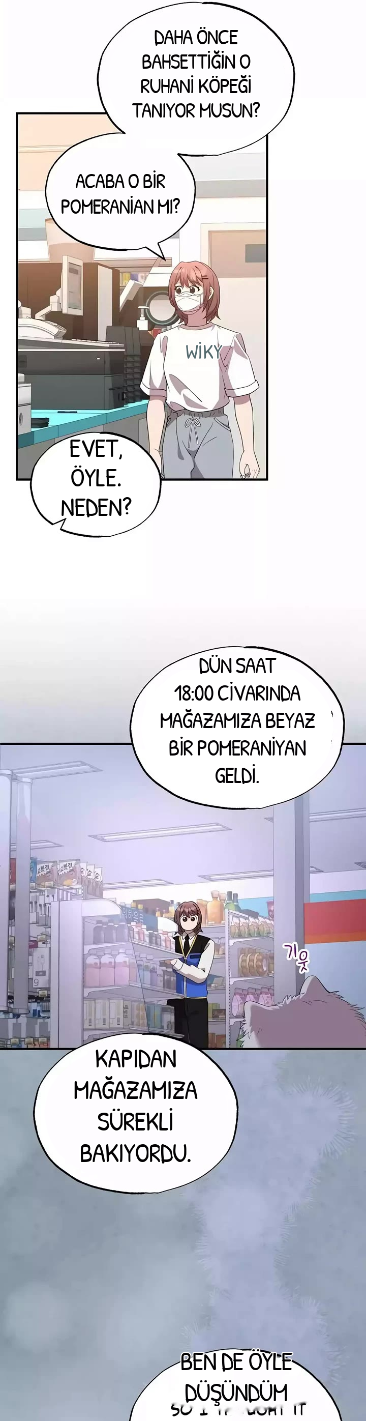 BÜYÜLÜ DİYAR DÜKKÂNCISI, bölüm 39, sayfa 31