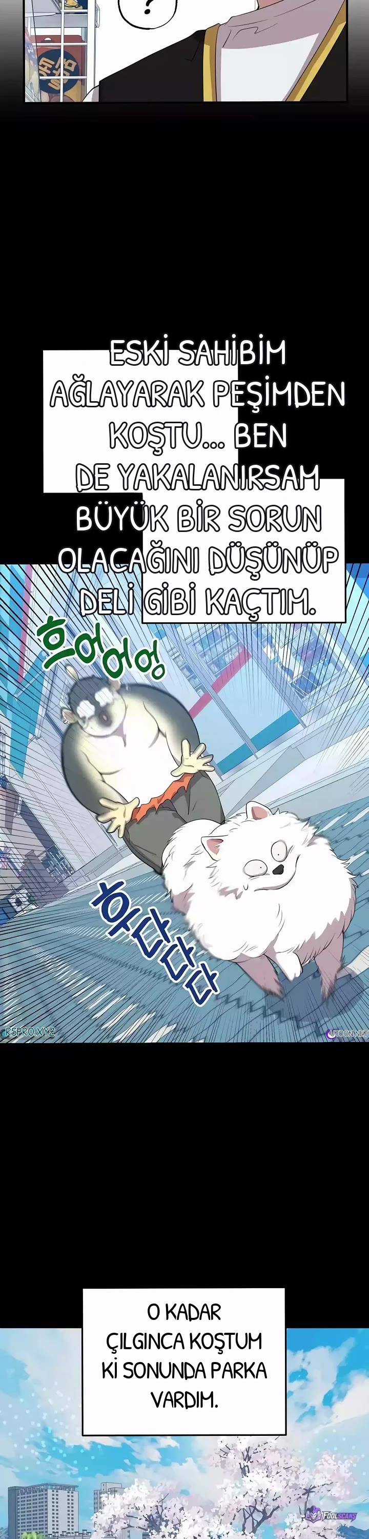 BÜYÜLÜ DİYAR DÜKKÂNCISI, bölüm 40, sayfa 12