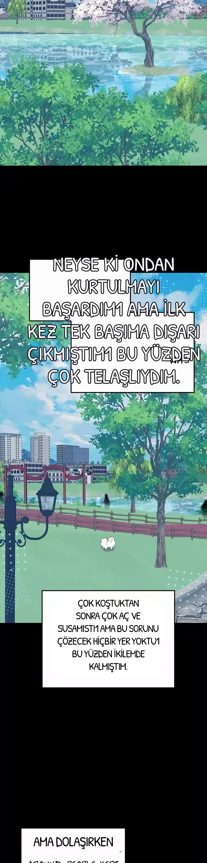 BÜYÜLÜ DİYAR DÜKKÂNCISI, bölüm 40, sayfa 13