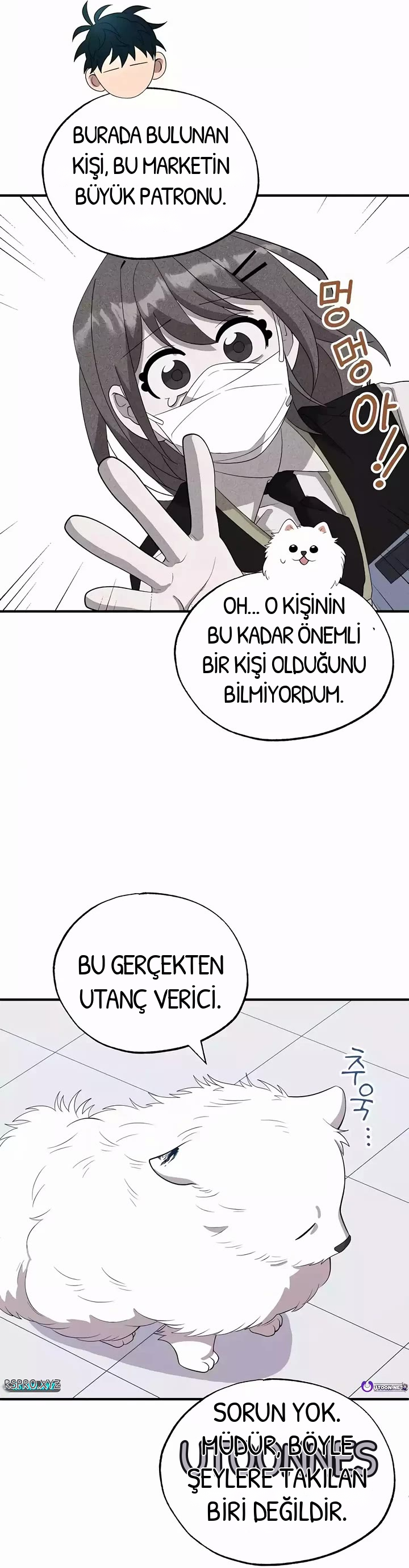 BÜYÜLÜ DİYAR DÜKKÂNCISI, bölüm 40, sayfa 17