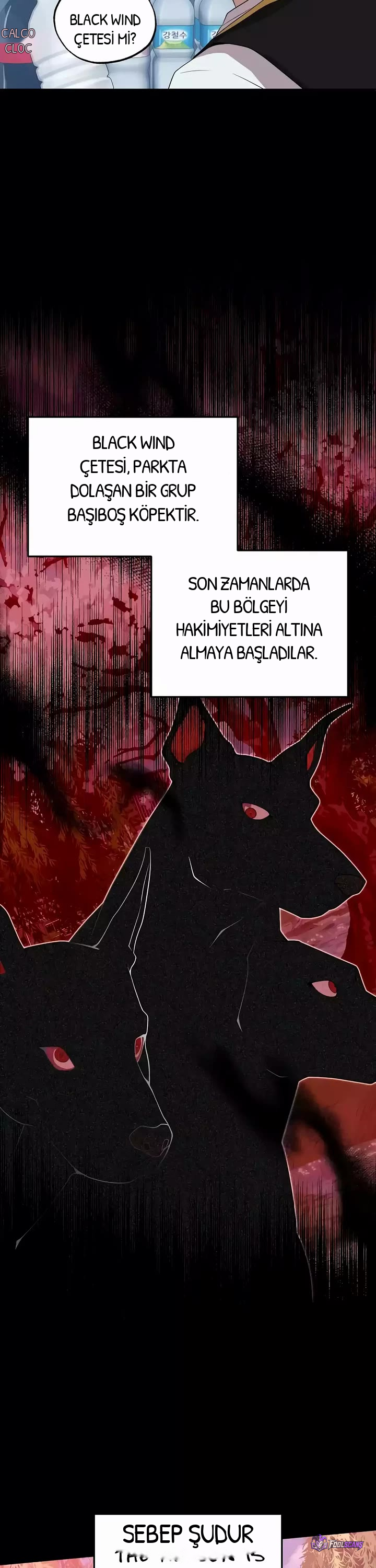 BÜYÜLÜ DİYAR DÜKKÂNCISI, bölüm 40, sayfa 22