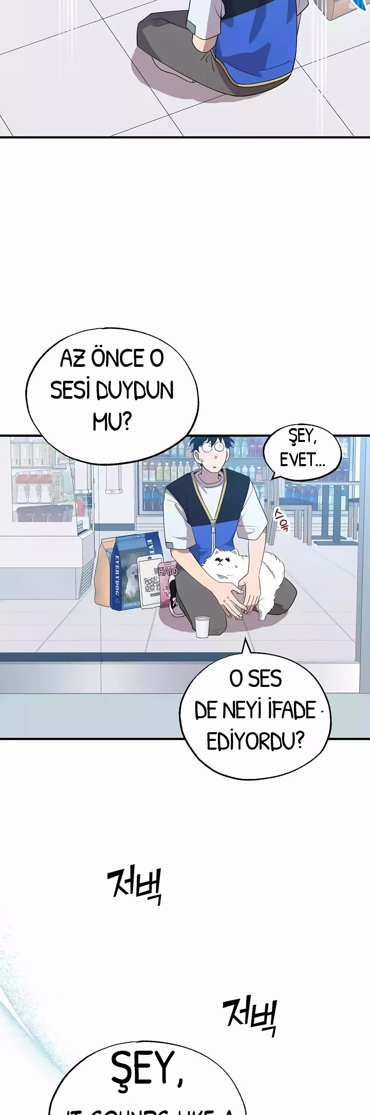 BÜYÜLÜ DİYAR DÜKKÂNCISI, bölüm 40, sayfa 33
