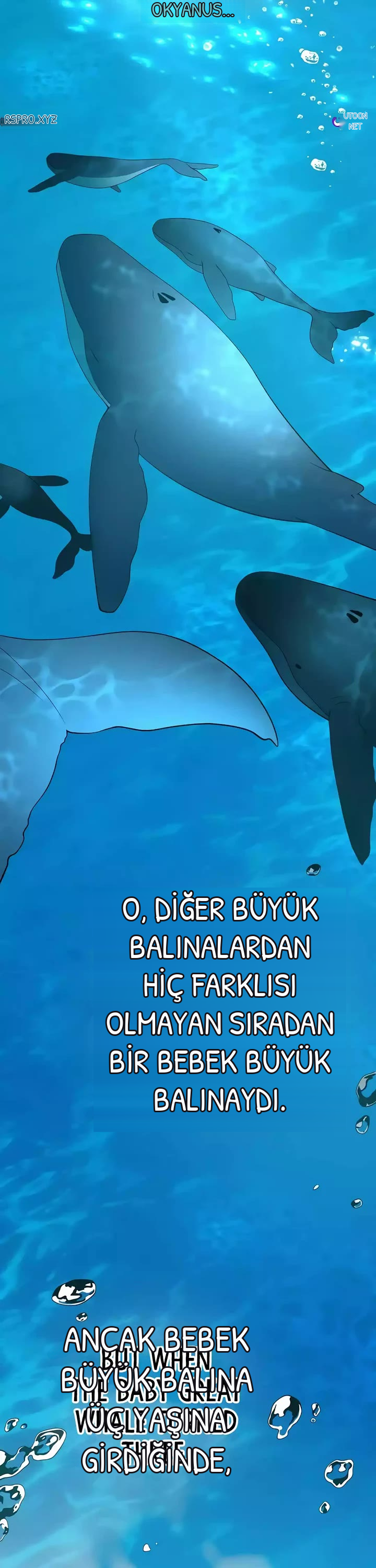 BÜYÜLÜ DİYAR DÜKKÂNCISI, bölüm 41, sayfa 11