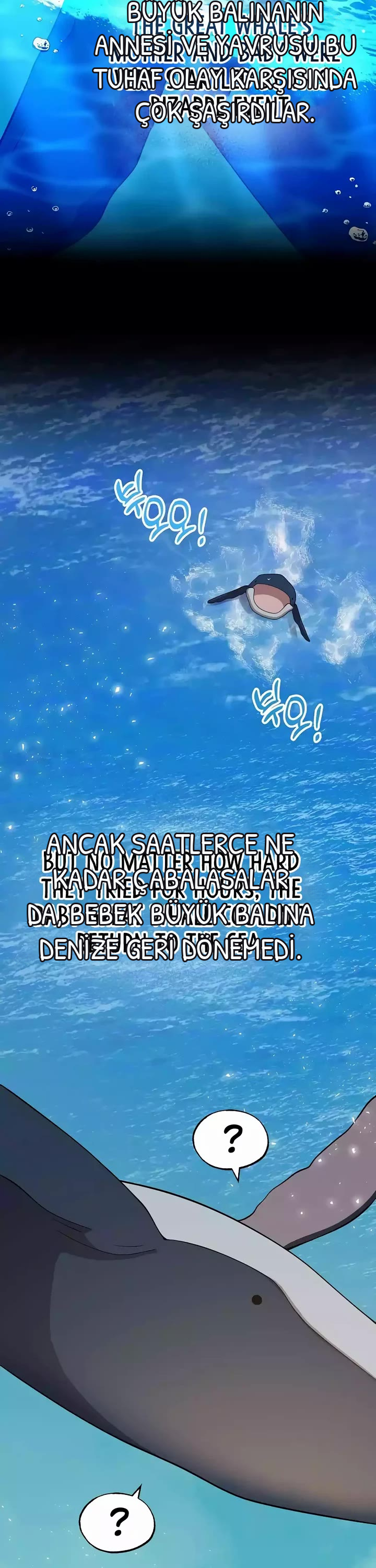 BÜYÜLÜ DİYAR DÜKKÂNCISI, bölüm 41, sayfa 13