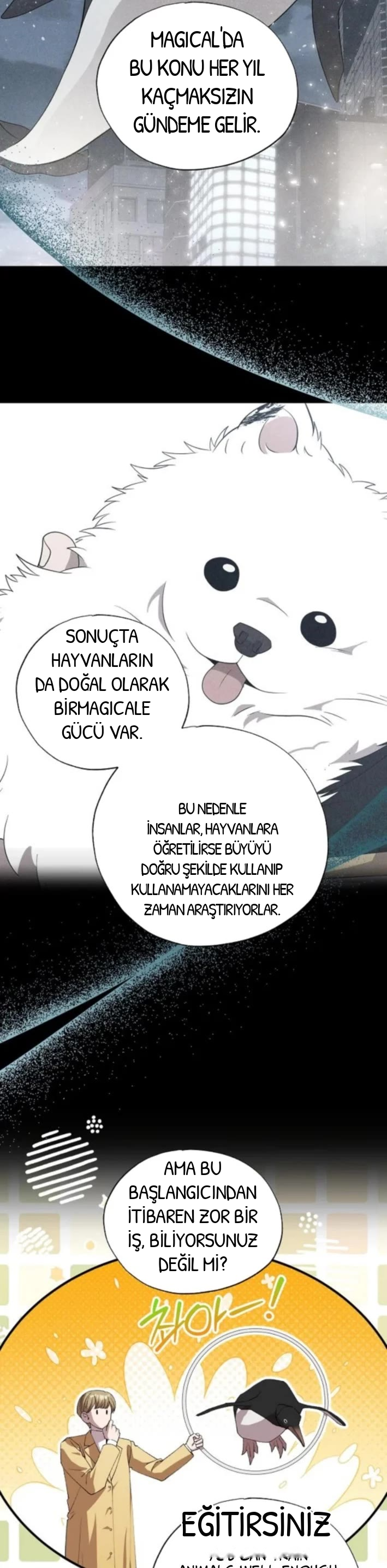 BÜYÜLÜ DİYAR DÜKKÂNCISI, bölüm 87, sayfa 3
