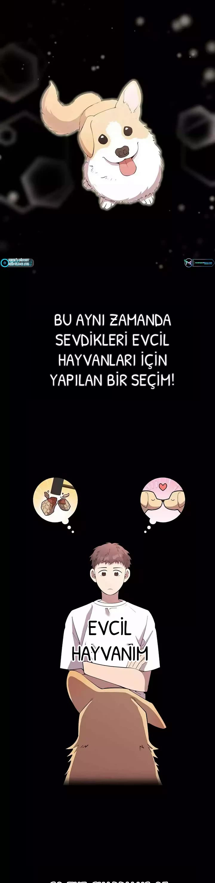 BÜYÜLÜ DİYAR DÜKKÂNCISI, bölüm 15, sayfa 3