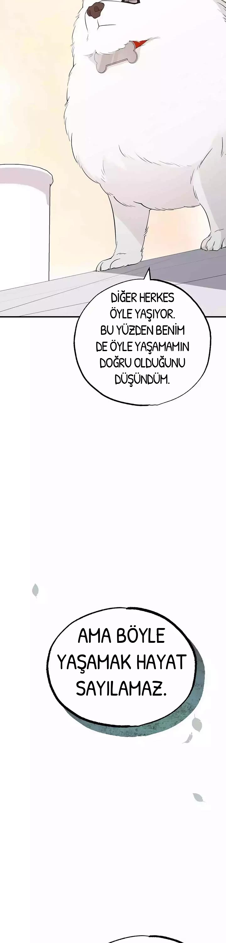 BÜYÜLÜ DİYAR DÜKKÂNCISI, bölüm 15, sayfa 17