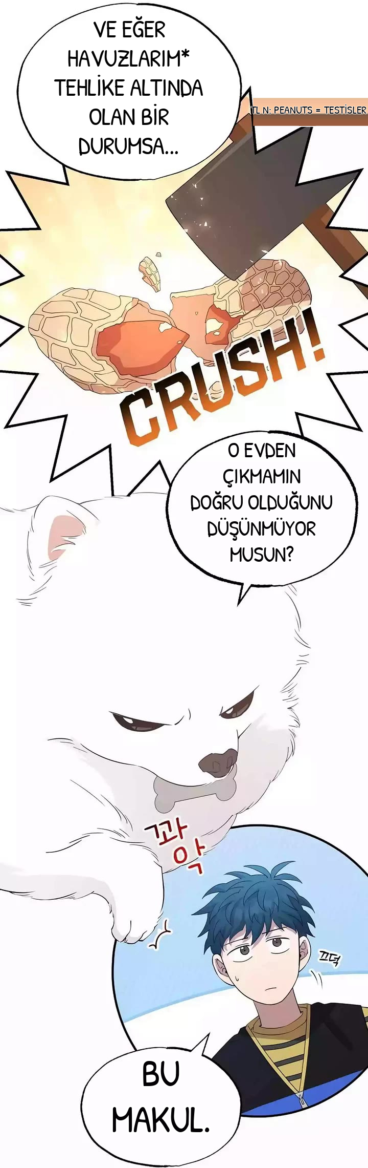 BÜYÜLÜ DİYAR DÜKKÂNCISI, bölüm 15, sayfa 21