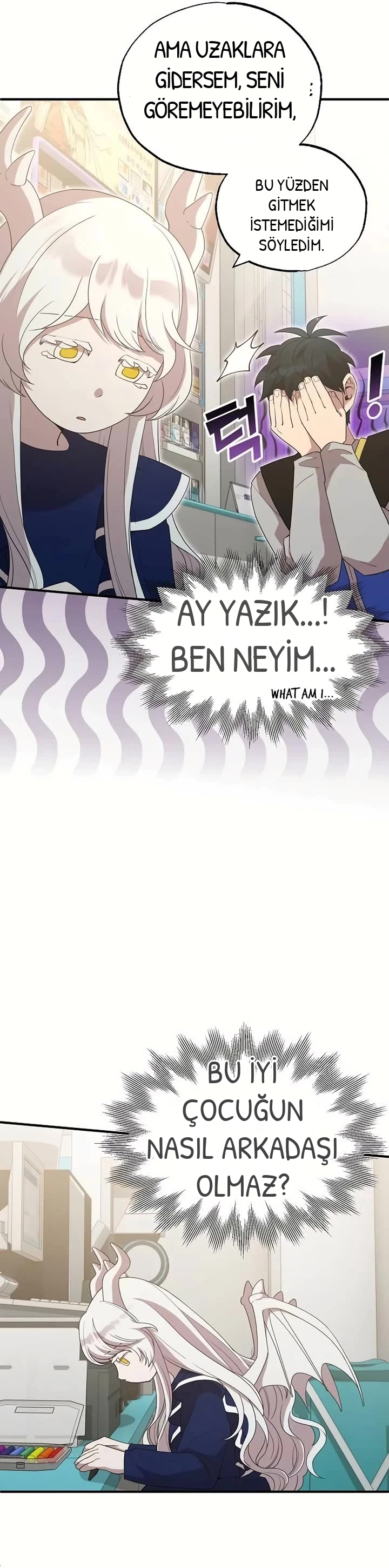 BÜYÜLÜ DİYAR DÜKKÂNCISI, bölüm 30, sayfa 29
