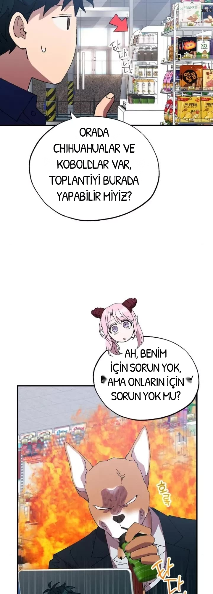 BÜYÜLÜ DİYAR DÜKKÂNCISI, bölüm 52, sayfa 11