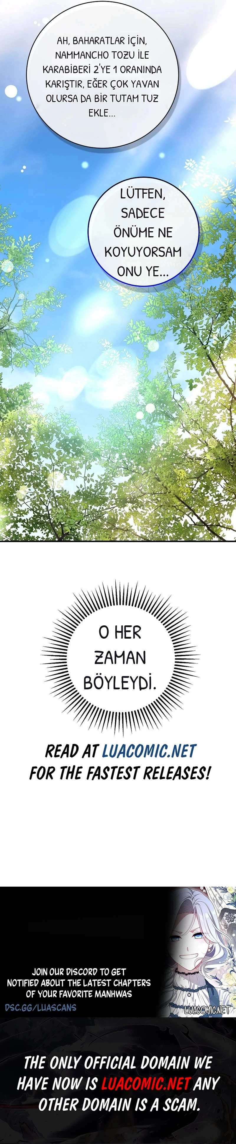 Surviving in a Romance Fantasy Novel, bölüm 29, sayfa 17